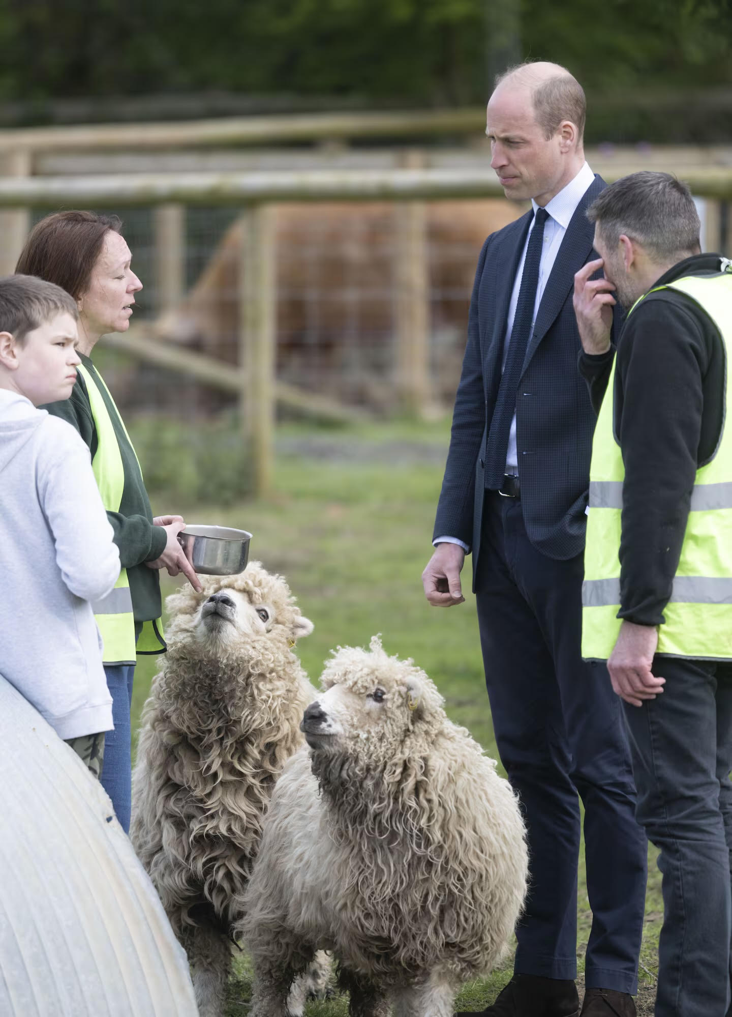 Prince William at Woodgate Valley Urban Farm